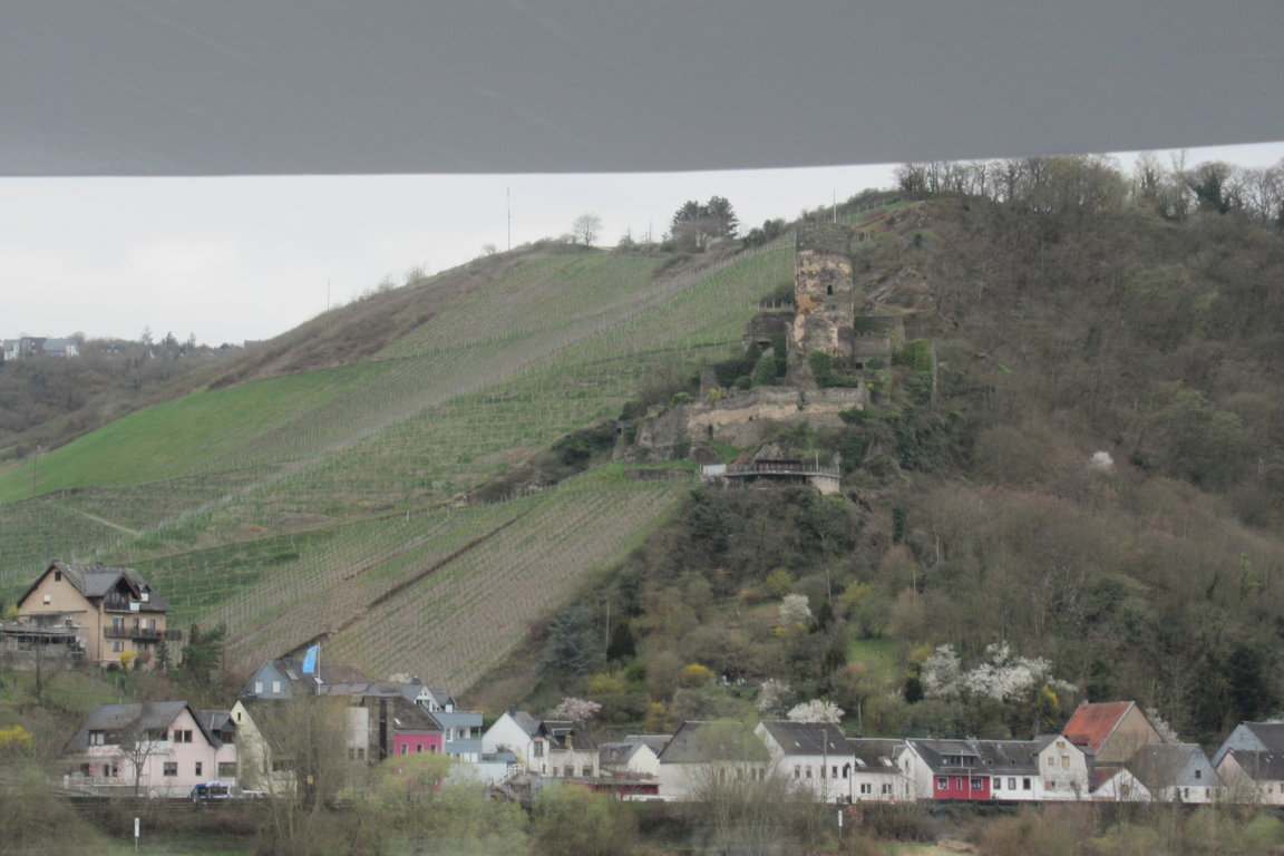 IMG_7370 (FILEminimizer)