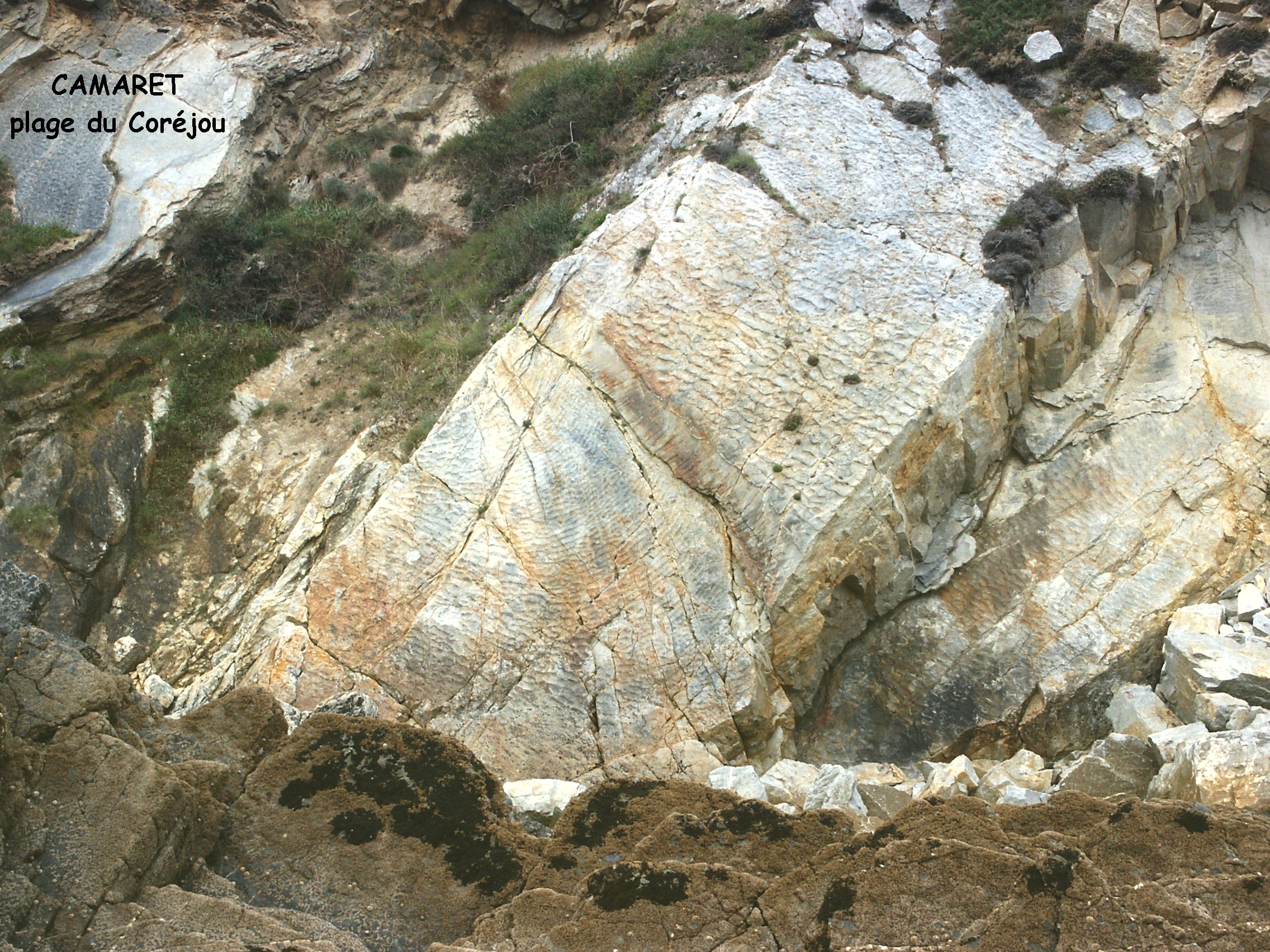 001Corejou 1 ripple marks dans quartzite pelitesleg